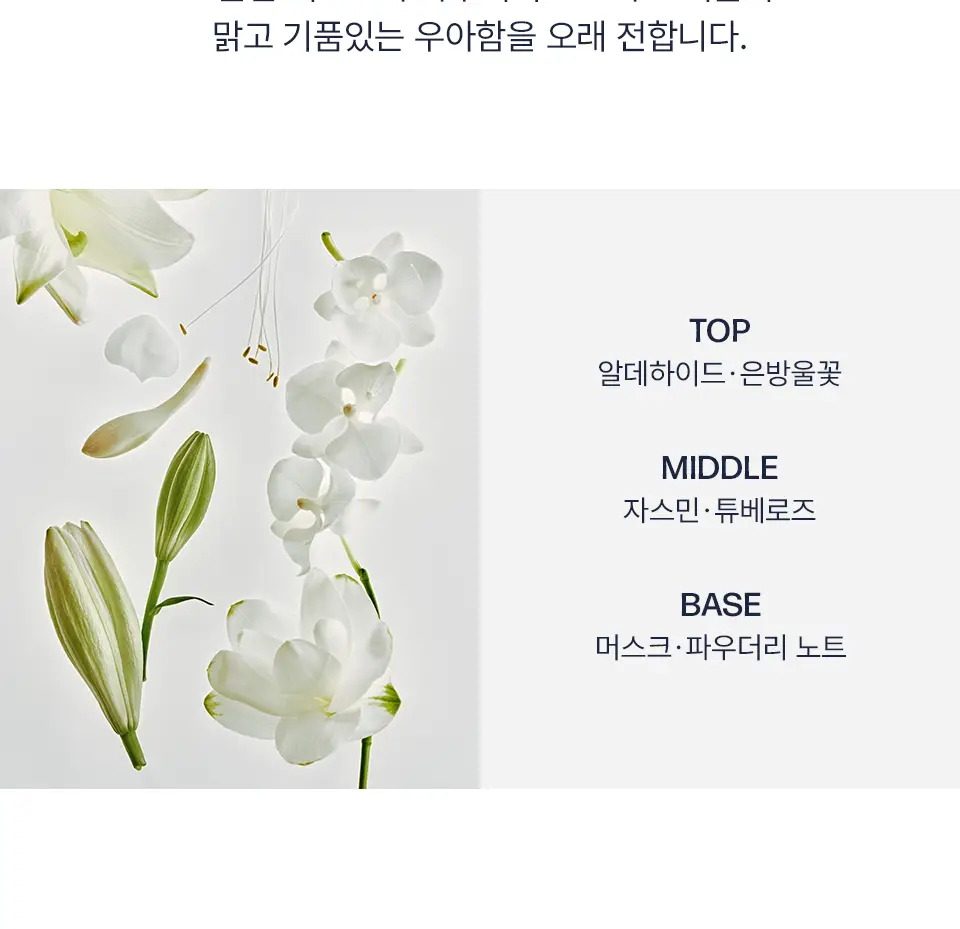 [고보습/퍼퓸] 어노브 글로우 핸드워시 290ml 2종 택 1(로지아우라/센슈얼화이트) 상세페이지 11